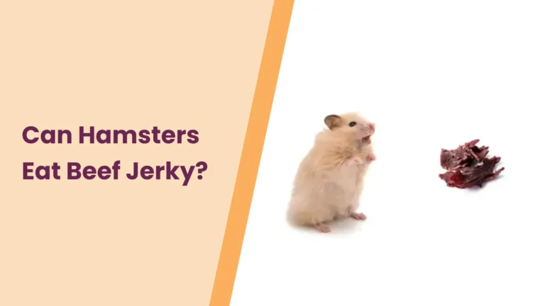 Can Hamsters Eat Beef Jerky?- All You Need To Know